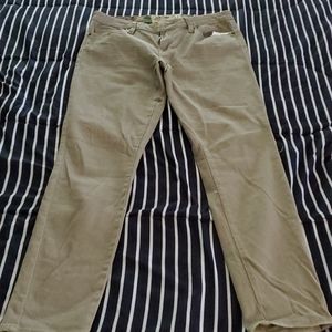 NWTS DOLLHOUSE JEANS SIZE 11